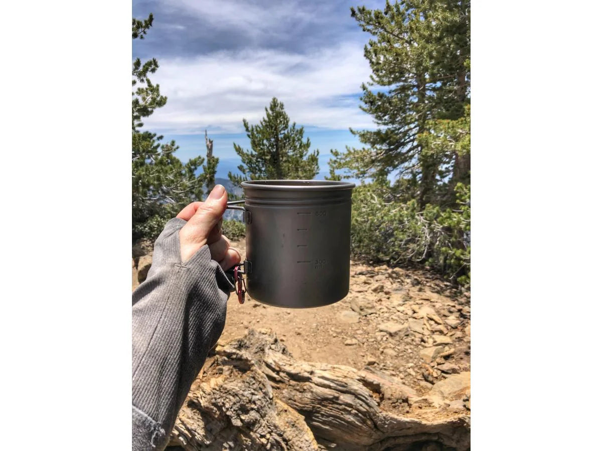 Credit: Carol “Cheer” Coyne