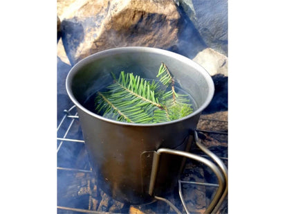Titanium Ti-Lite 750 Mug | Ultralight for Cooking – VARGO