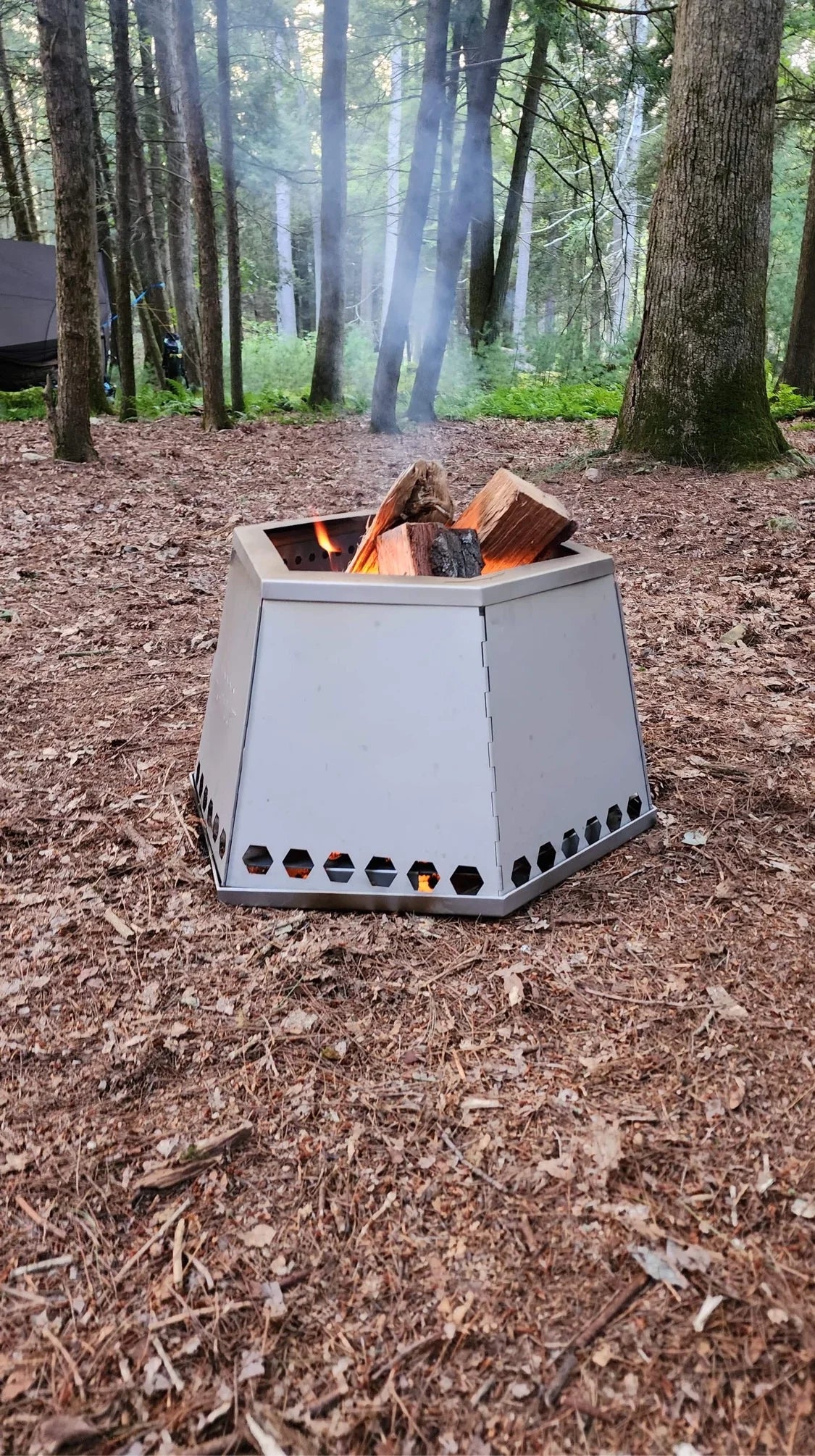 MegaHex in the woods